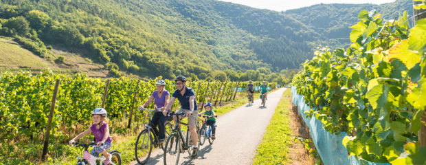 Fahrradfahren mit der Familie auf dem Ahr-Radweg © Dominik Ketz, Rheinland-Pfalz Tourismus GmbH